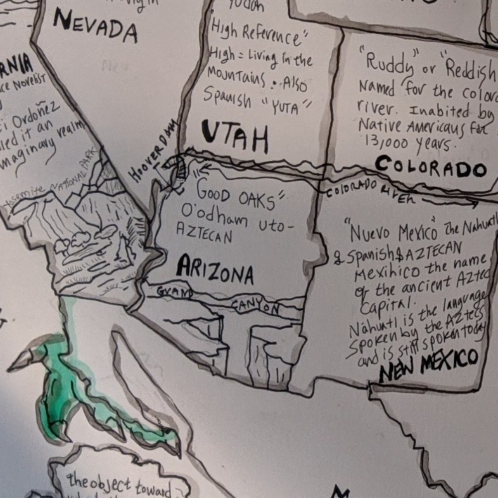 USA Handmade Map cartography painting watercolor pen & ink Earth Day - Picture 9 of 16